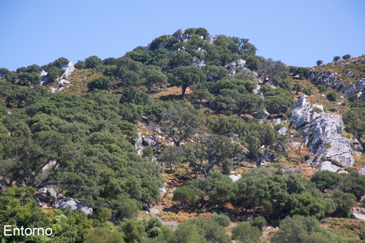 Facinas Houses Luaran gambar